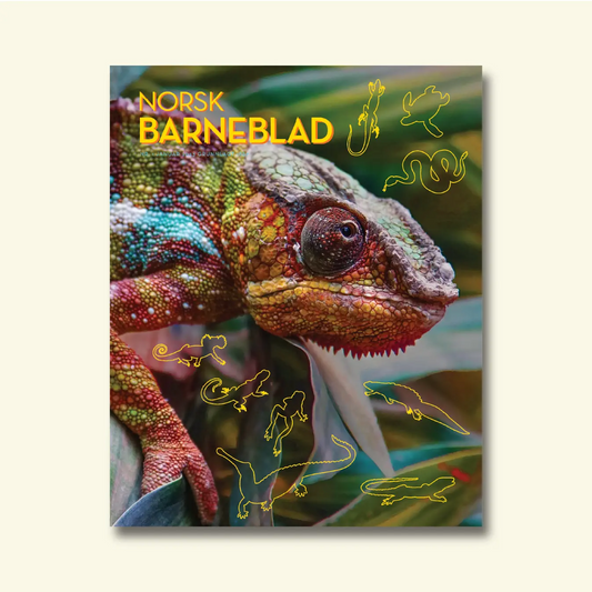 Framside av Norsk Barneblad nr. 1/2023 «Amfibia», nærbilde av eit kameleonhovud omgitt av gule strekteikningar av øgler og frosk.